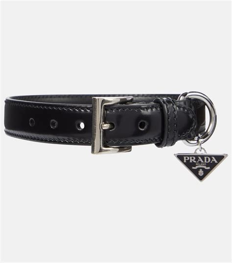 dog prada|Prada dog collar and leash.